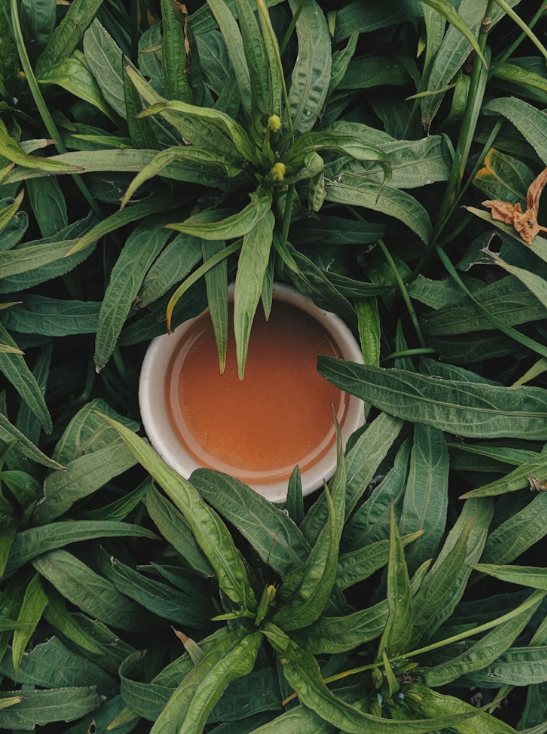 Tea Collection: Lemongrass Tea (Southeast Asia)