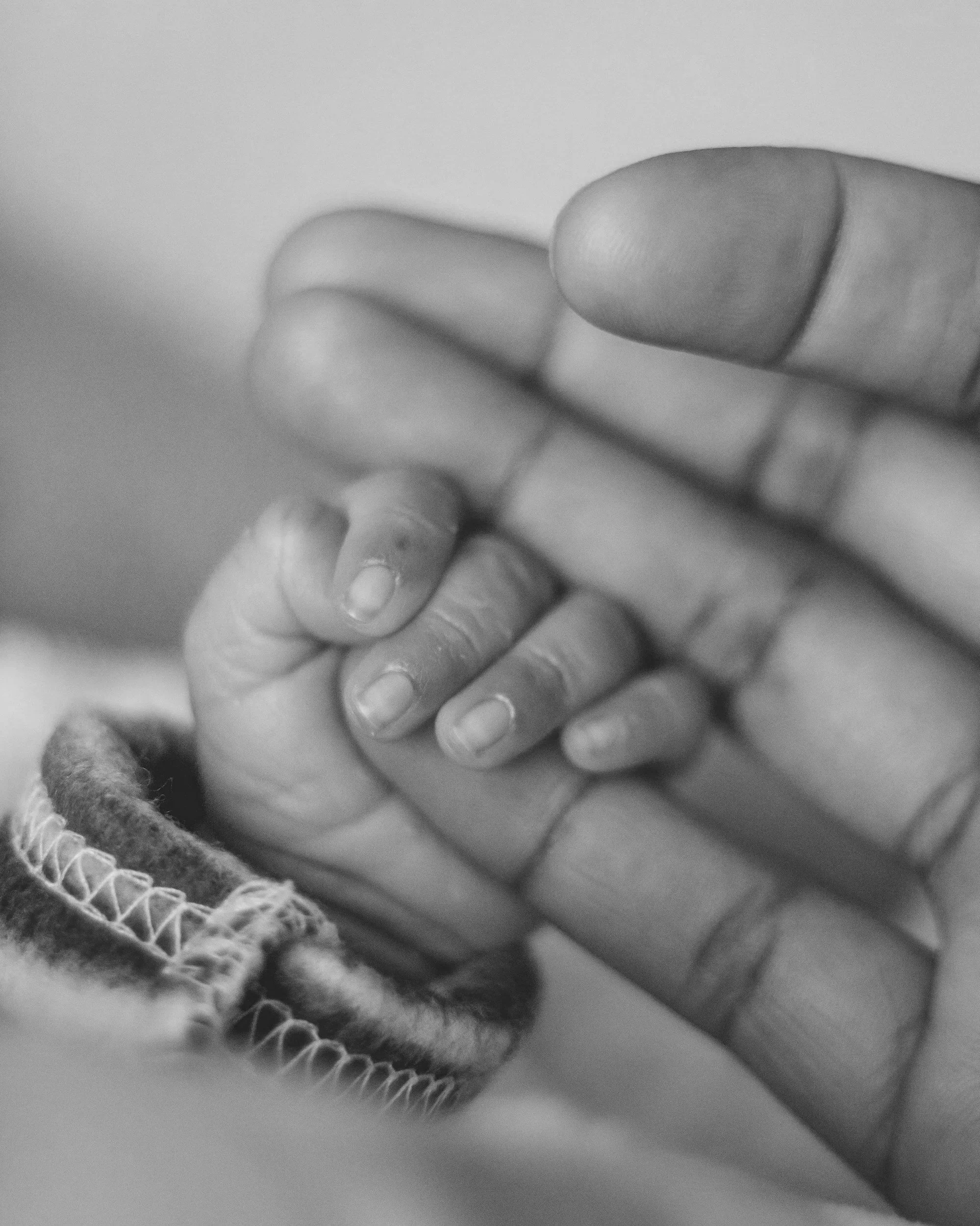 Close-up of an adult hand holding a small baby's hand, both hands are in black and white.