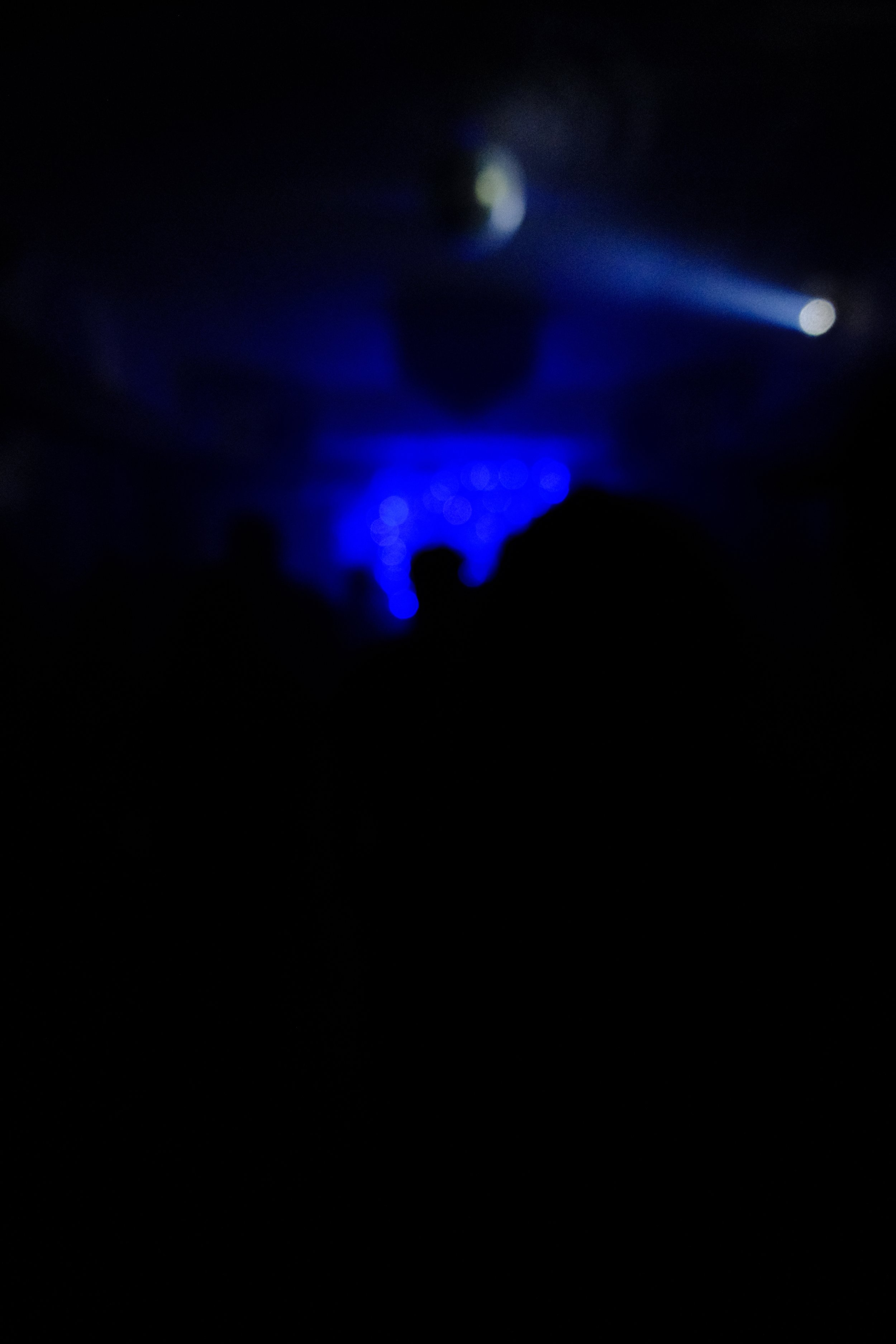 TBA JUNGLE ROOM.JPG