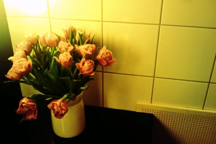 TBA FLOWERS STARK.jpg