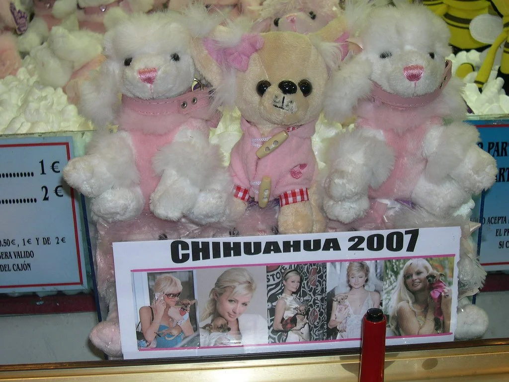 ML HILTON CHI BARCALONA.jpg