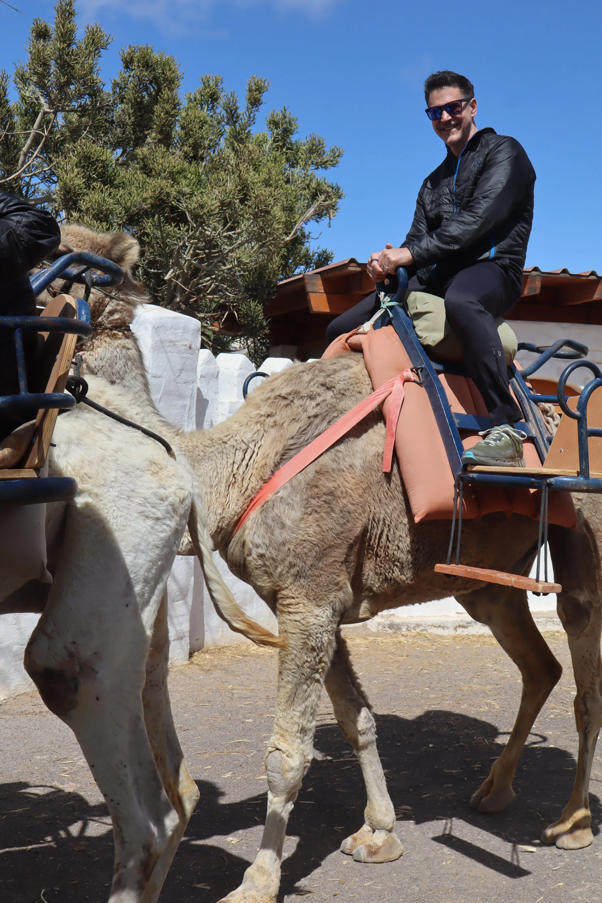 The Dog That Didn't Bark: Why Removal Is the Fastest Path to Leverage