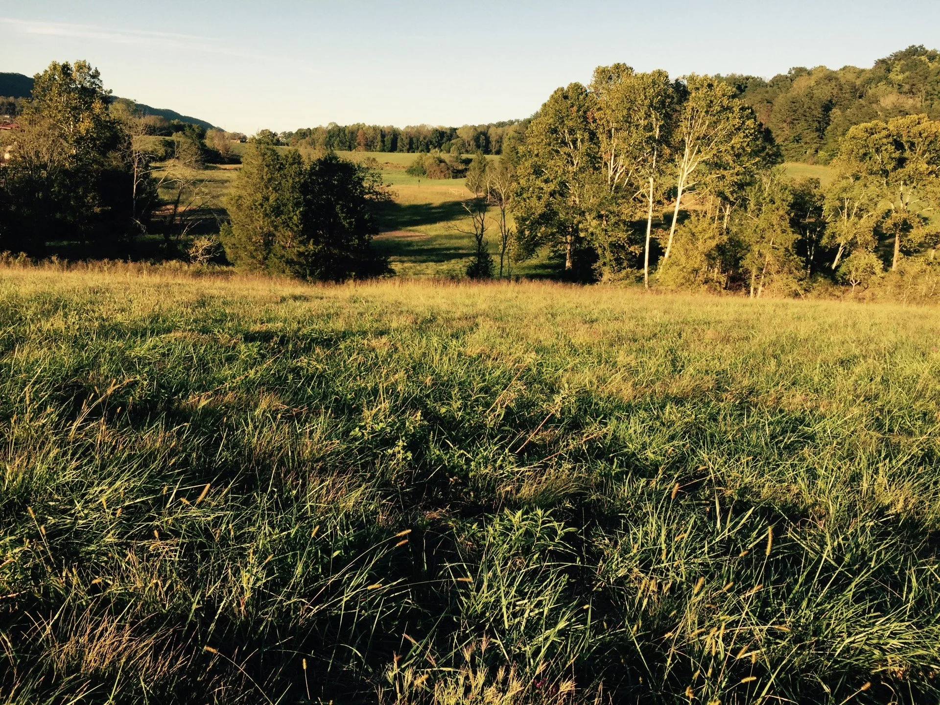 High Intensity Soil Mapping Service - One Lot- Trip Report