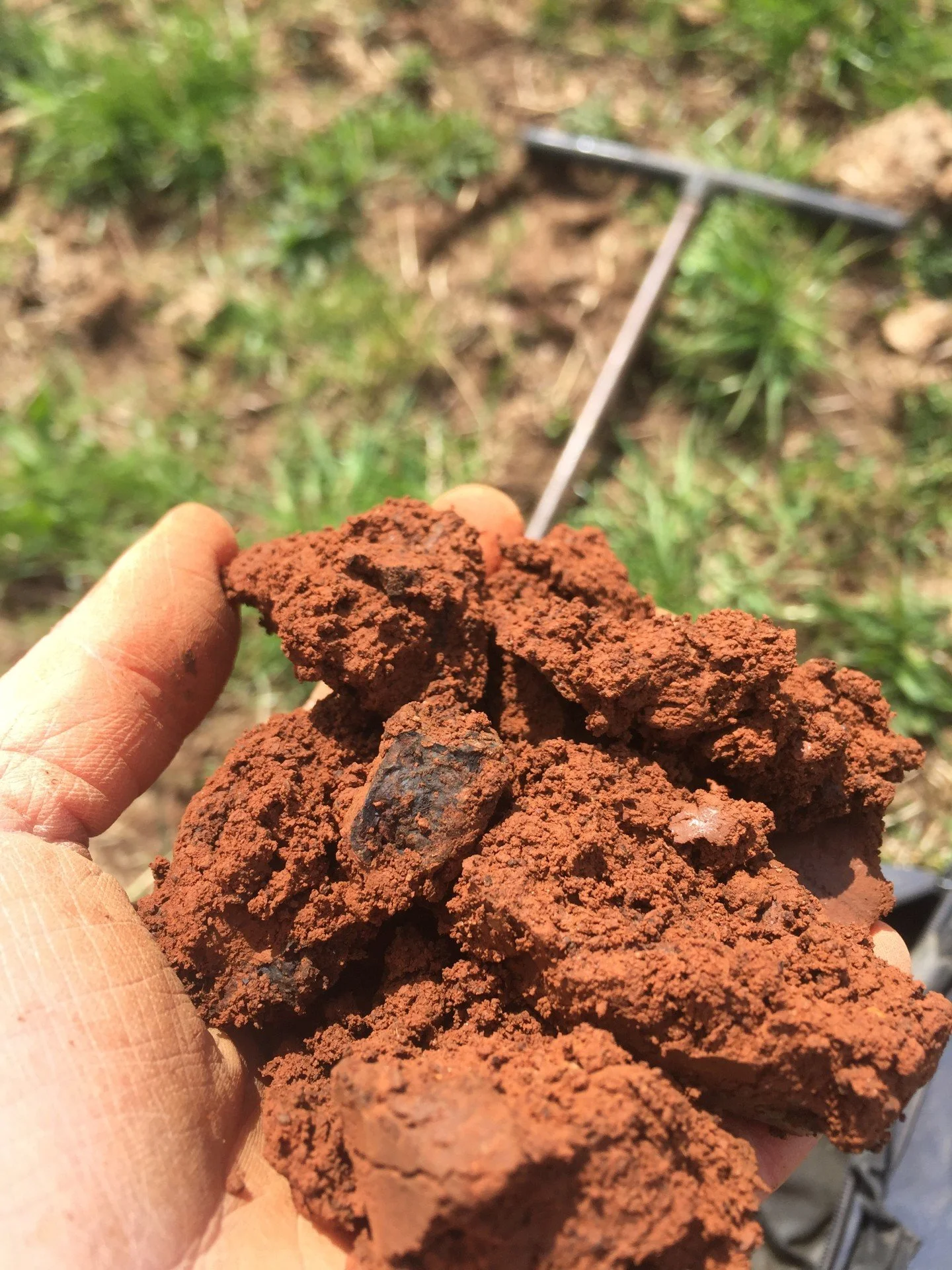 High Intensity Soil Mapping Service - One Lot