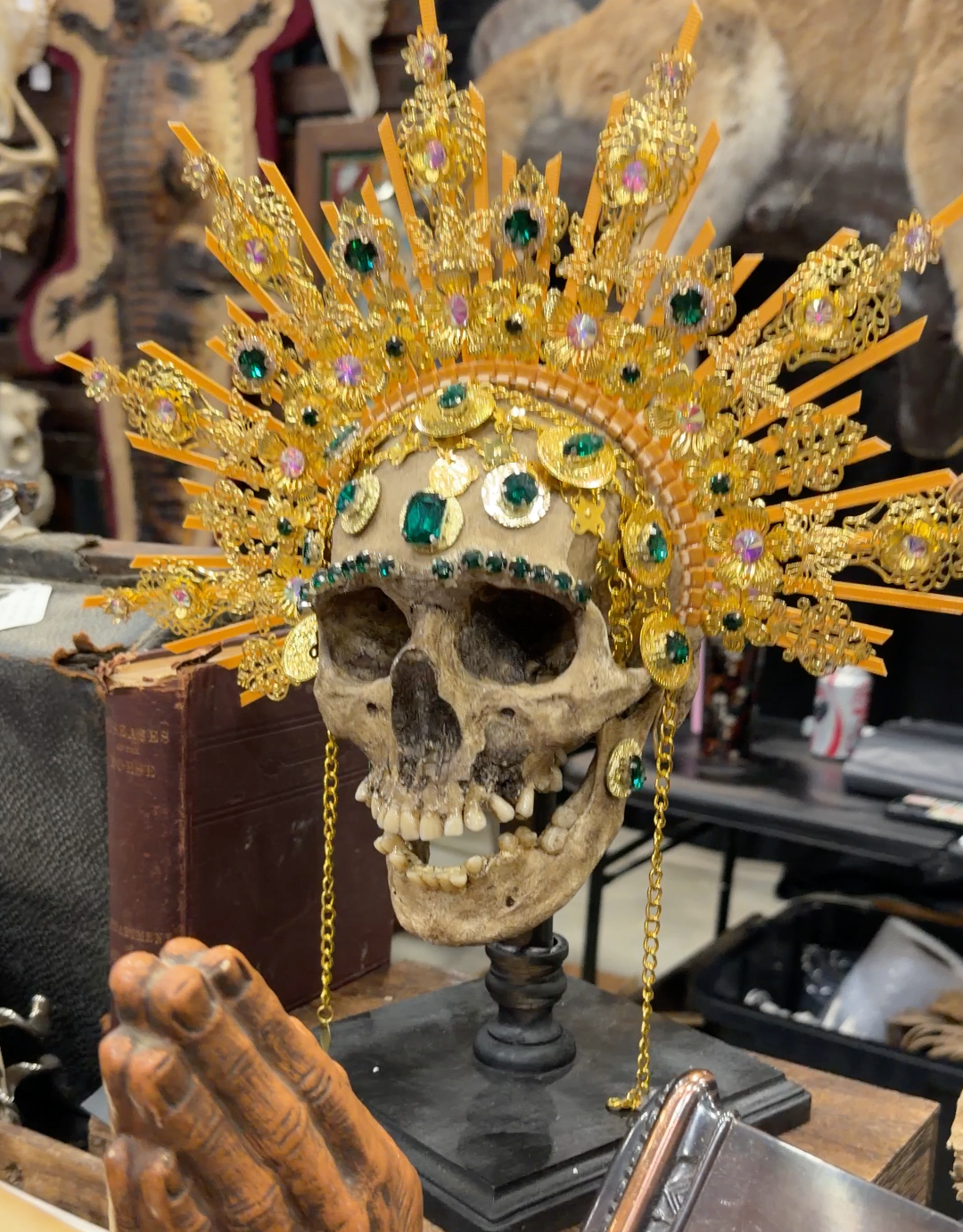 A human skull adorned with an elaborate golden crown decorated with gemstones and intricate designs.