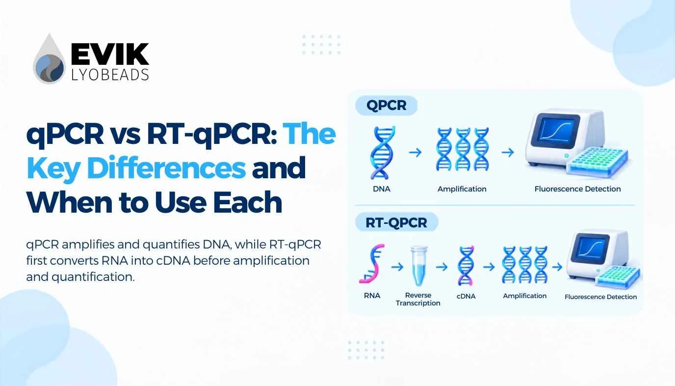 qPCR vs RT-qPCR