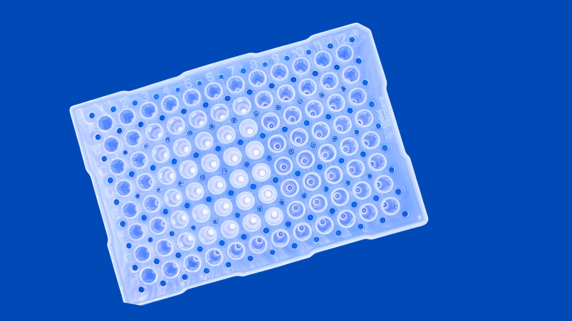 Excipient Plate (4).png