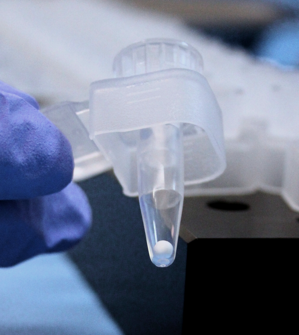 A close-up of a laboratory pipette with a white spherical tip, held by a person wearing purple gloves.