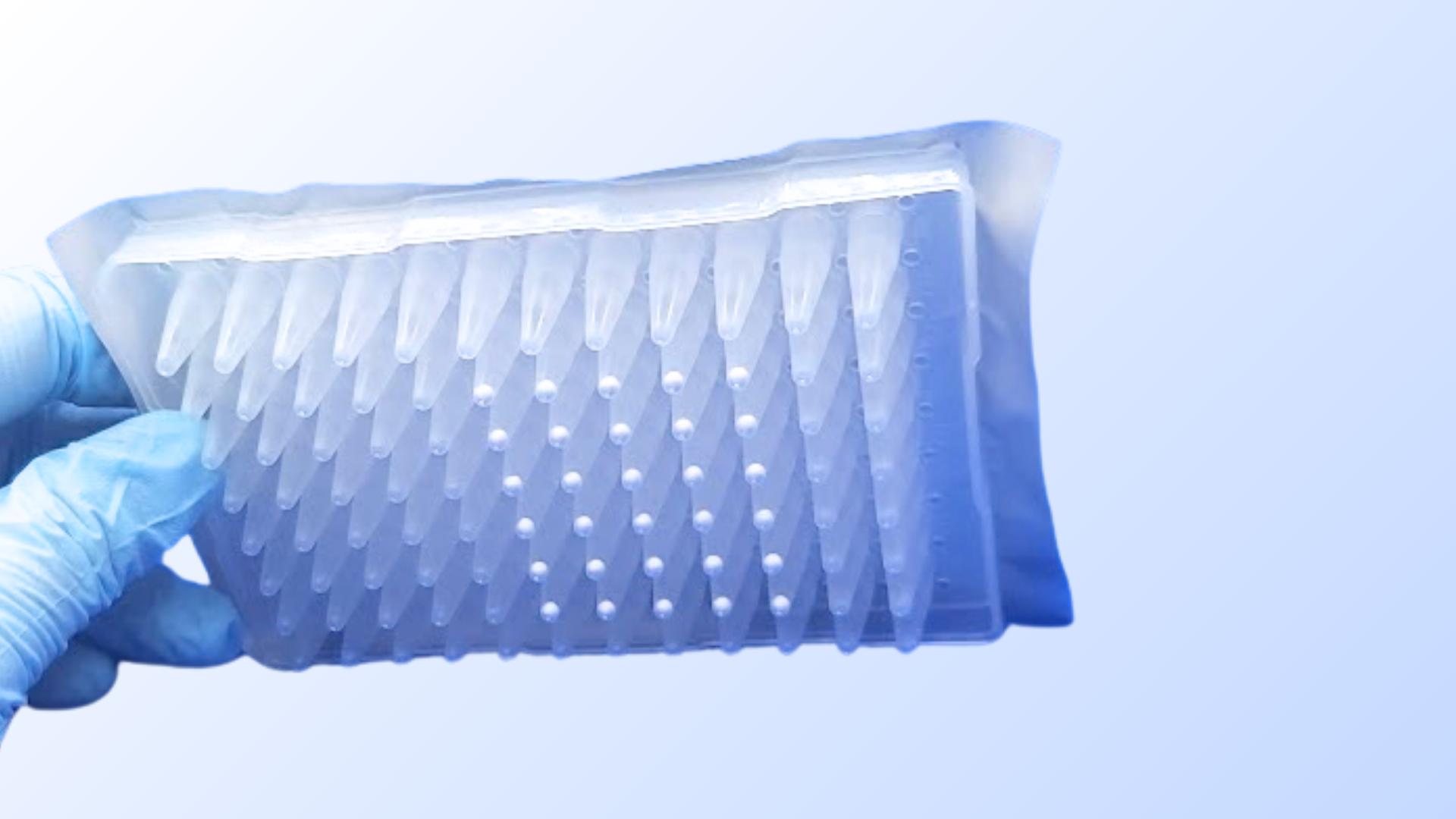 Excipient Plate (3).png