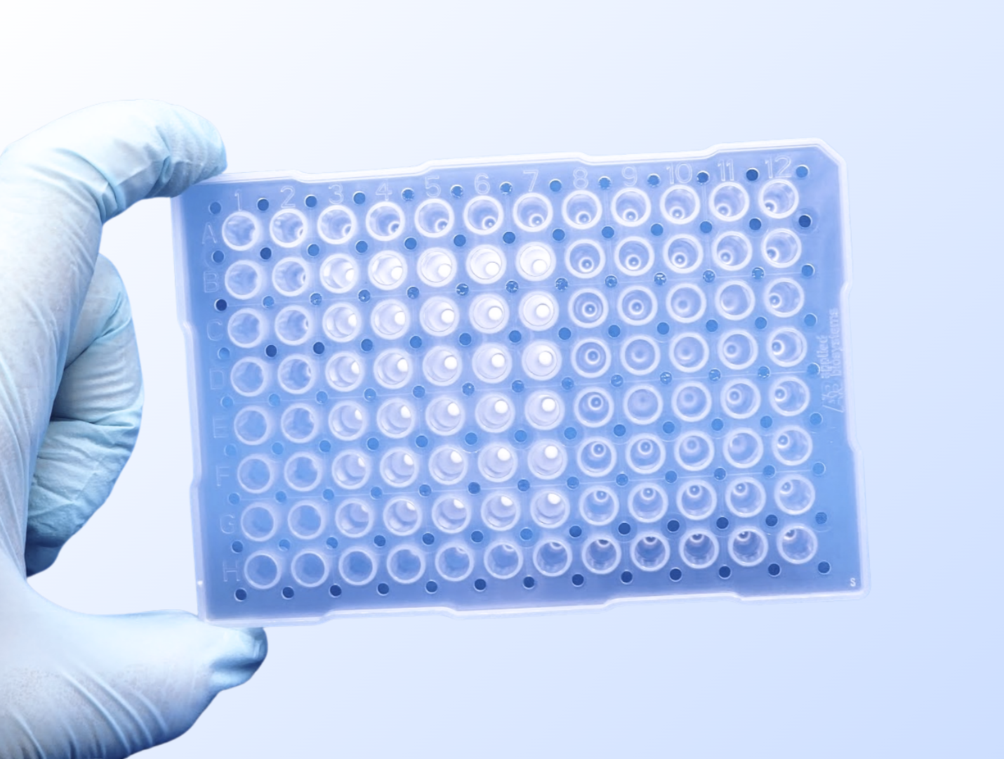 EVIK™ Excipient Selection Plate