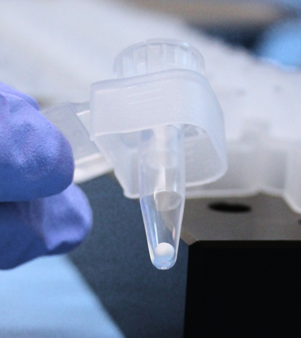 Close-up of a gloved hand holding a plastic vial with a small white Lyobead inside, used in a laboratory setting.