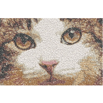 DIGITIZING BASICS -2-DAY