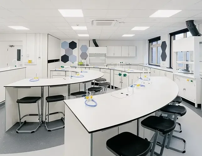 Website Image 5.webp