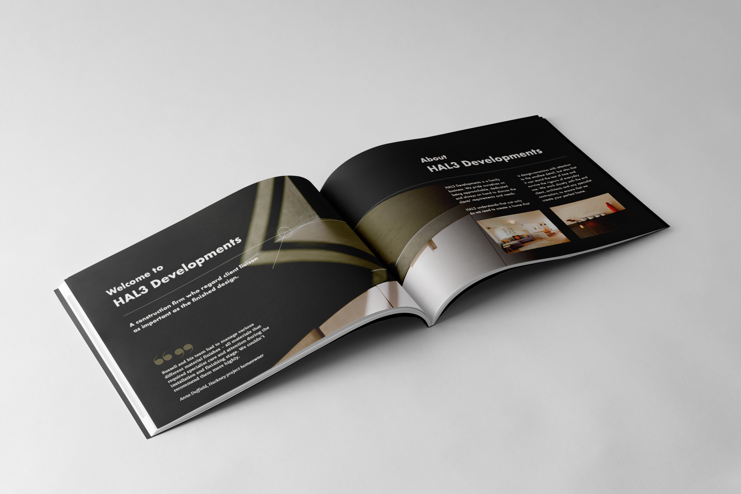 HAL3 brochure DPS 1 mockup.png