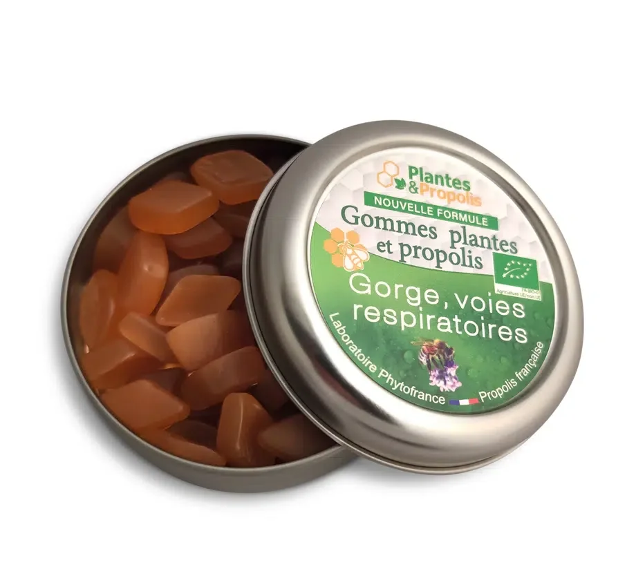 gommes de plantes et propolise bio.webp