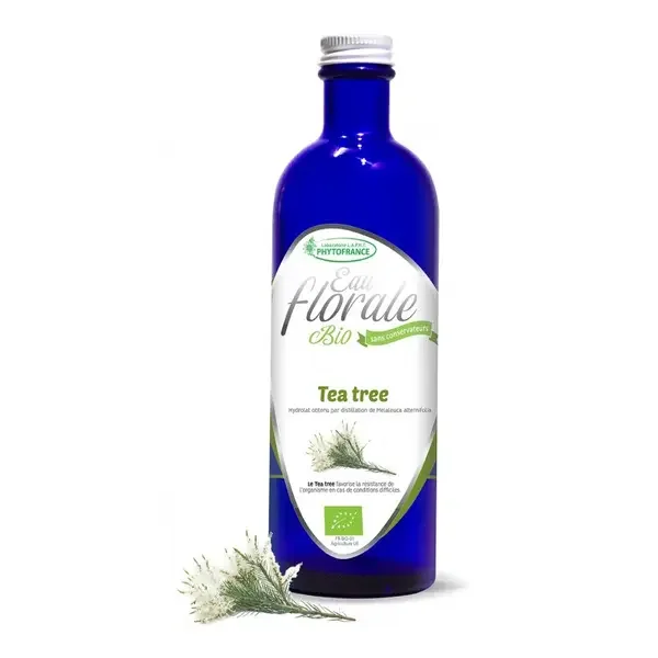 hydrolat-tea-tree-bio-200ml-phytofrance-eau-florale_0.webp