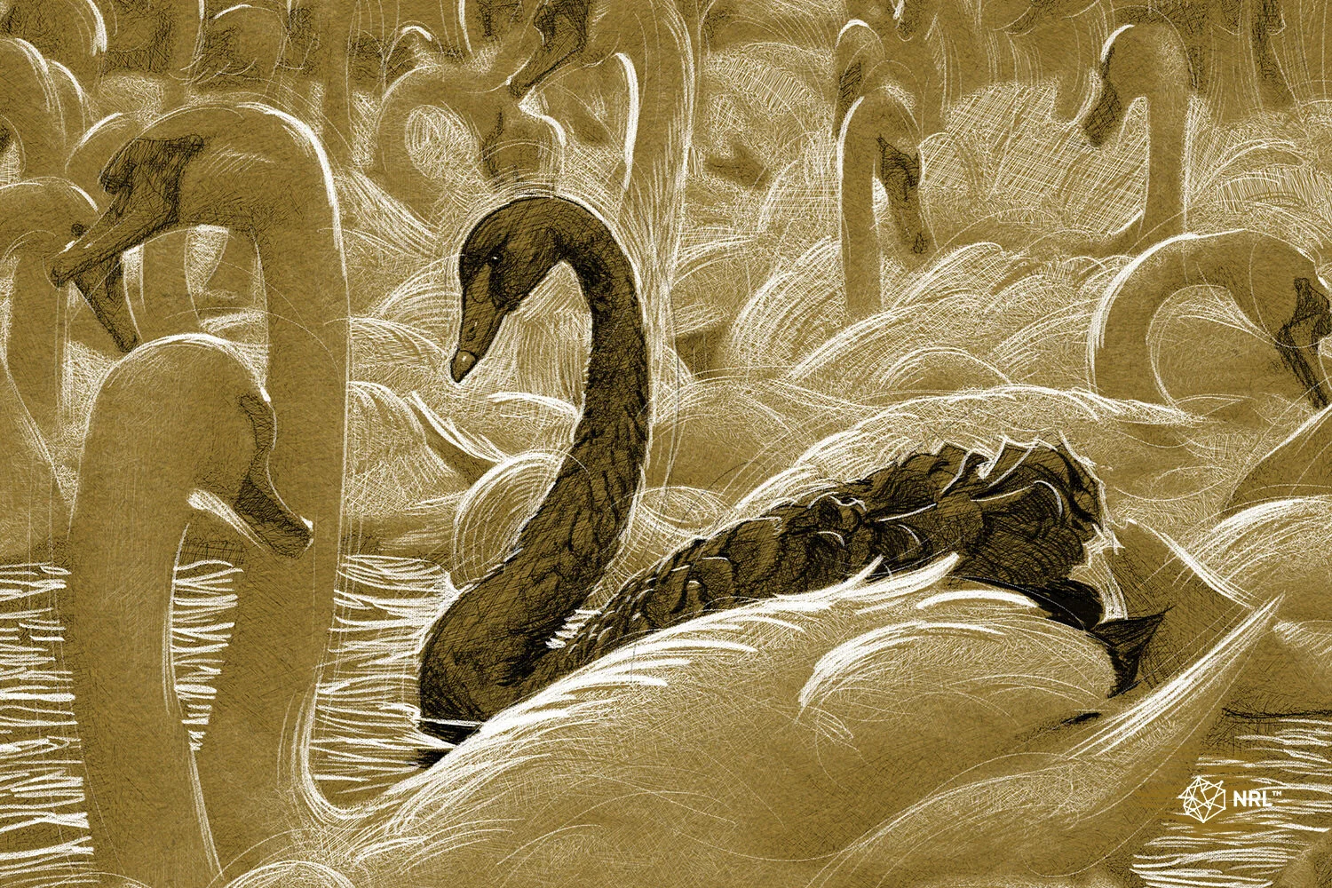 How Leaders Can Avoid Black Swans.