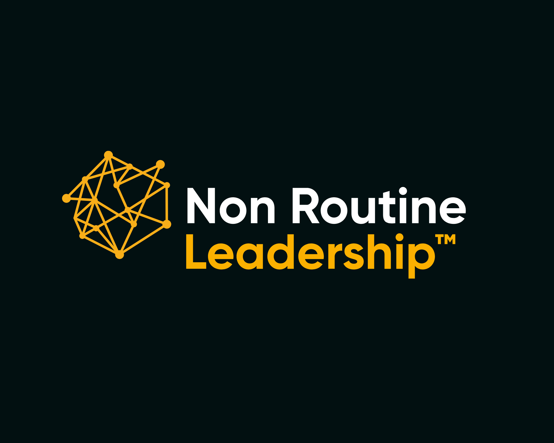 Logo with a geometric network symbol and the text "Non Routine Leadership™" with "Leadership" in orange and larger font.