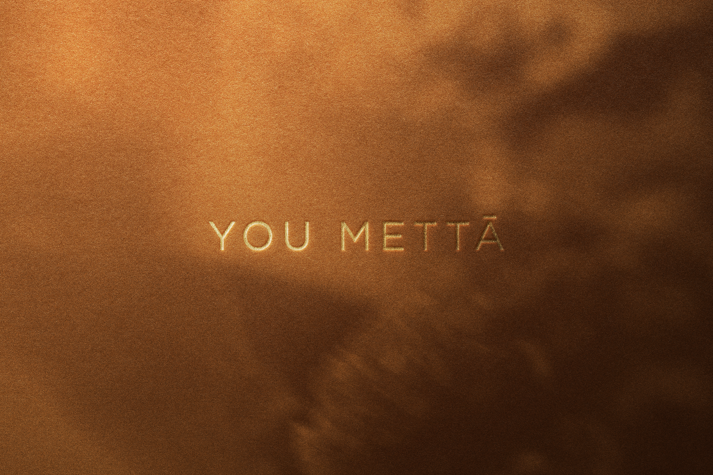YOU METTA_logo_v1.png