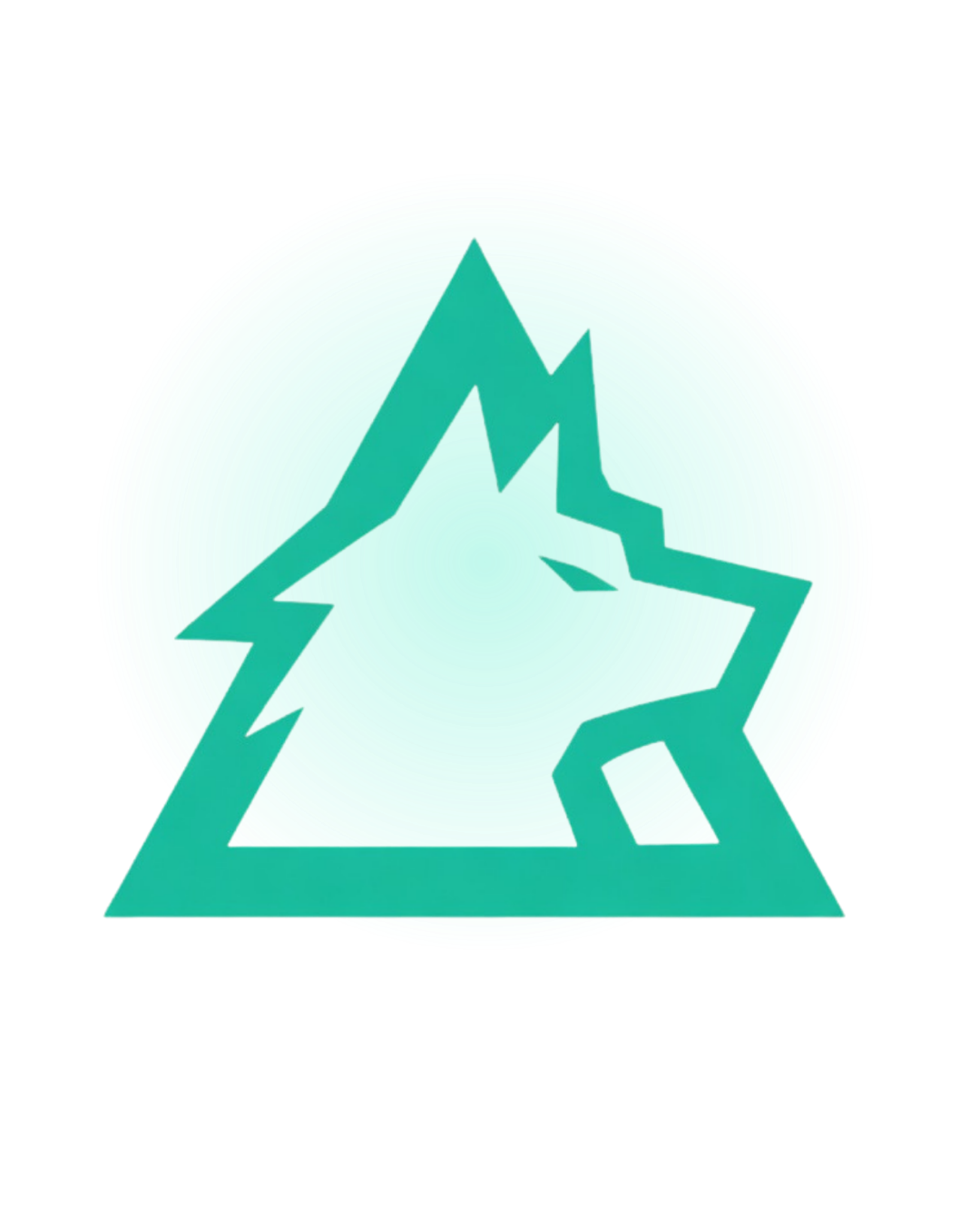 SP Endurance coaching 