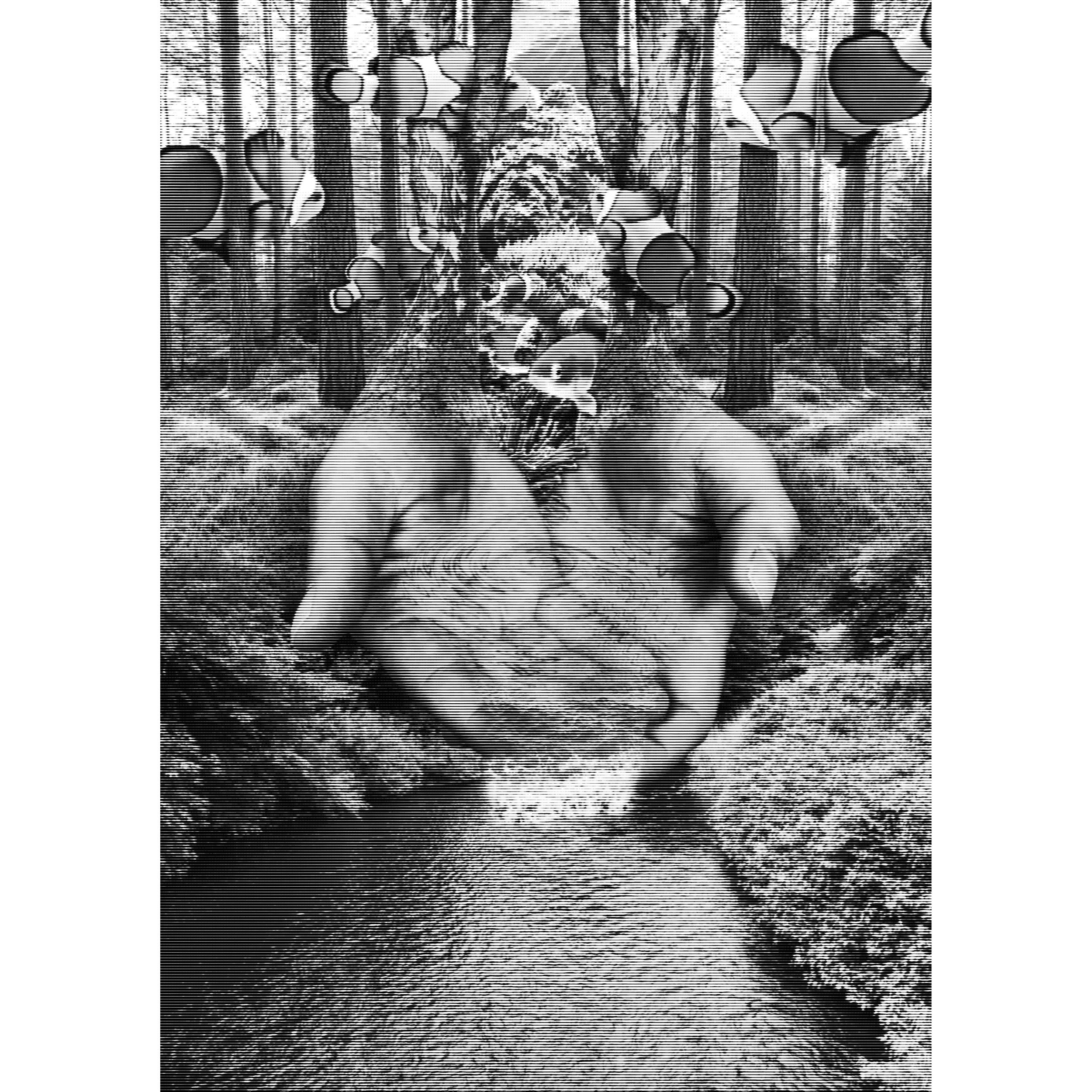 The Wellspring of Enlightenment