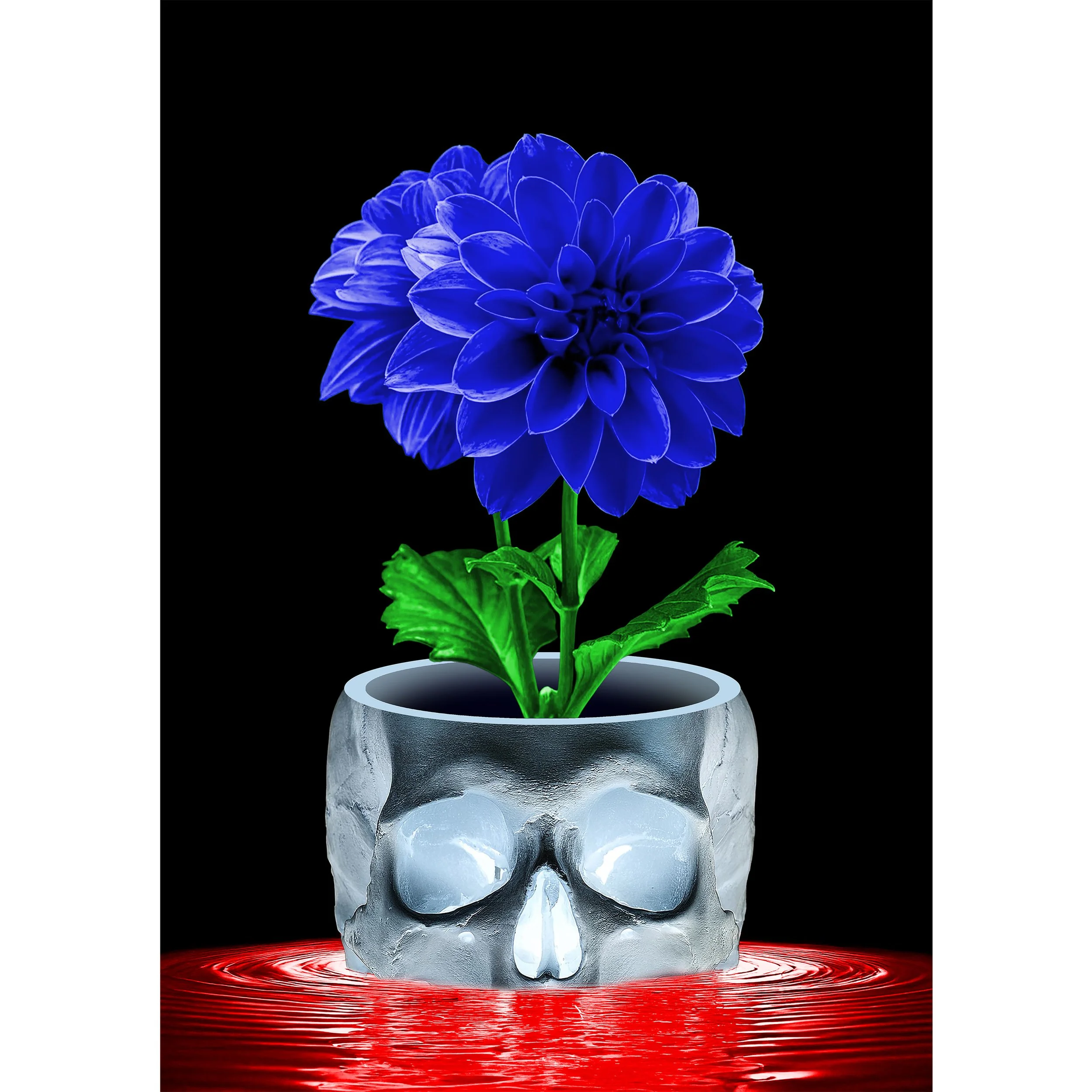 Longing For Serenity