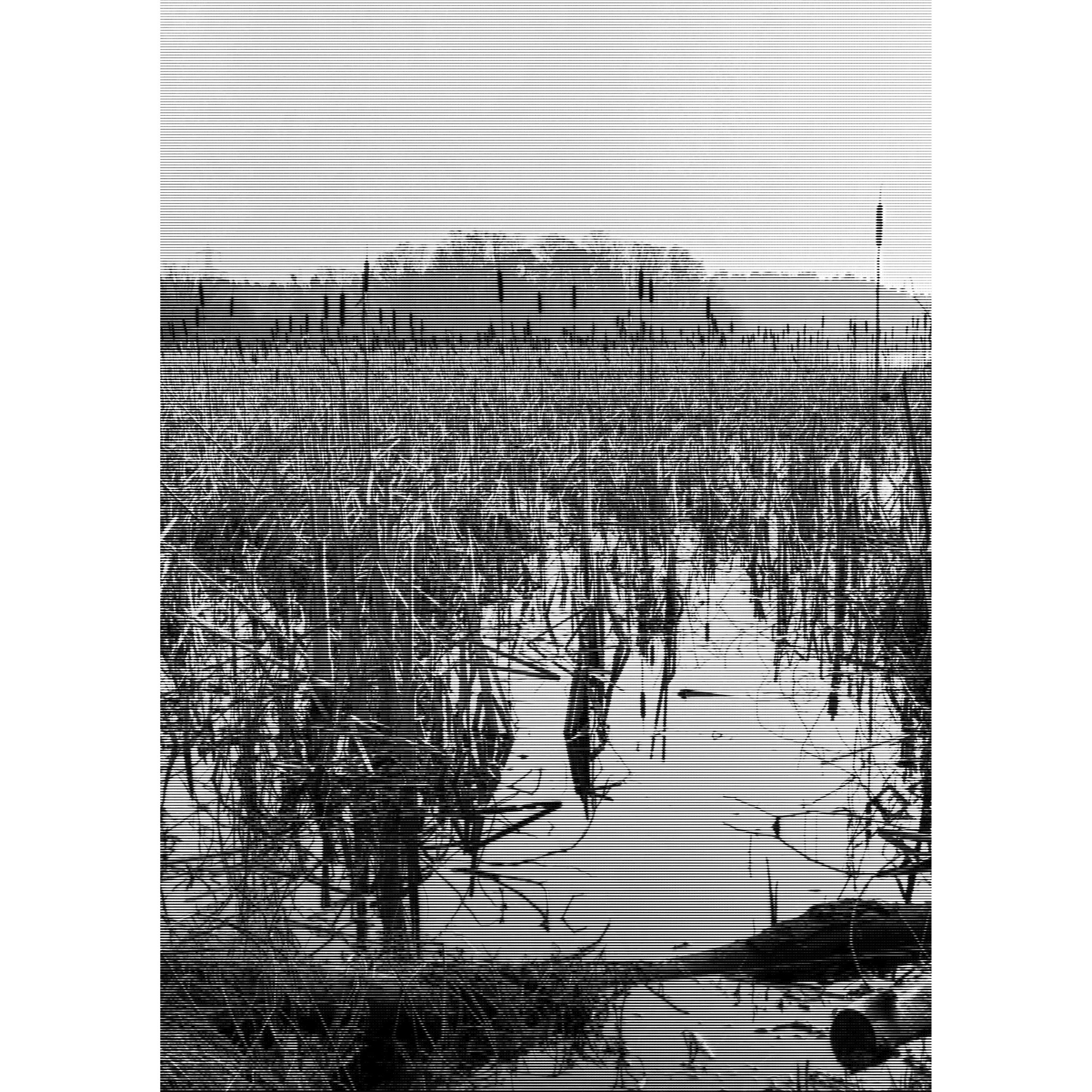 Overcoming Adversity