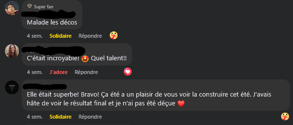 Capture d'écran d'une conversation en ligne avec des commentaires positifs sur un projet.