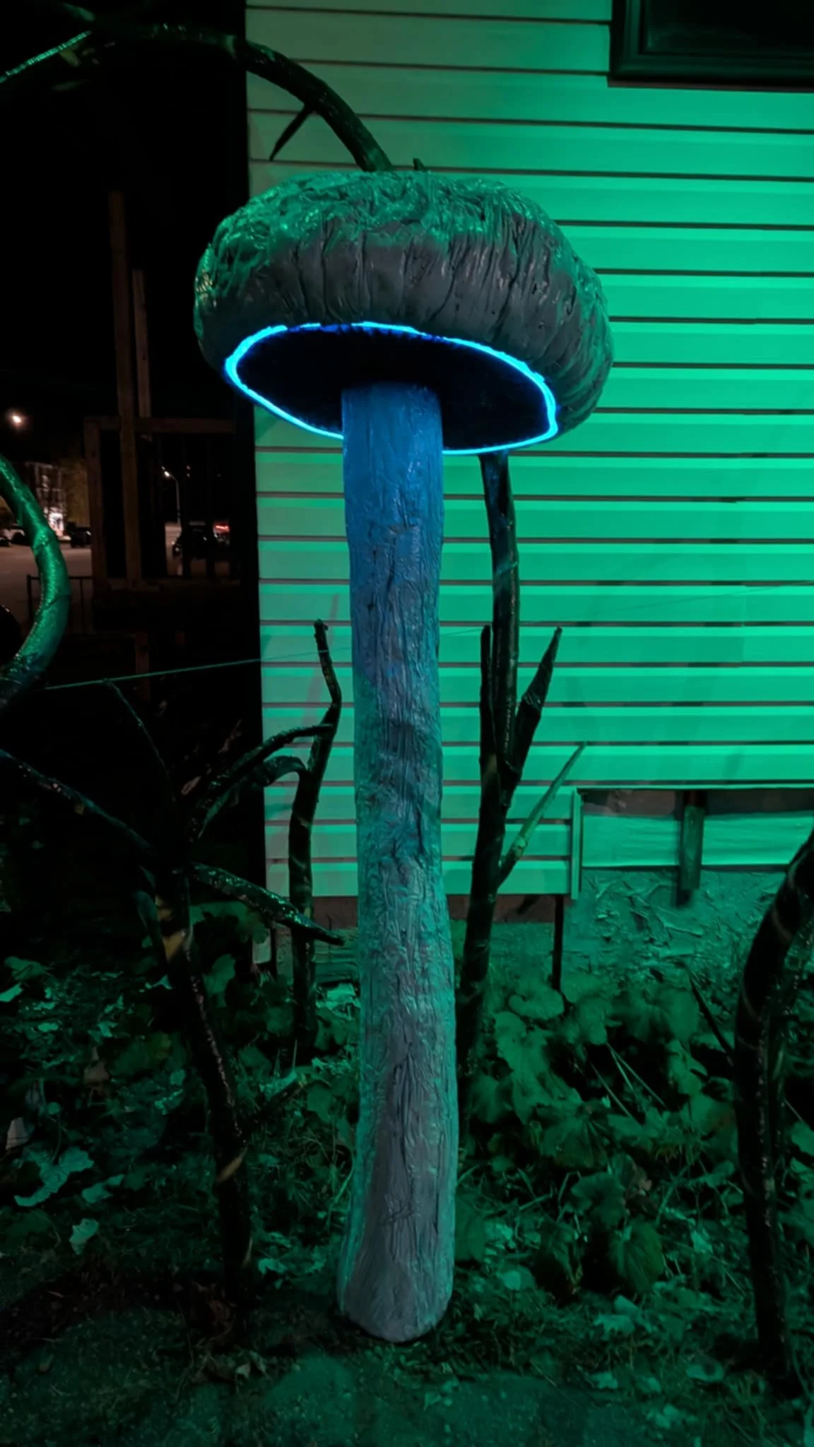 champignon bleu3.JPG