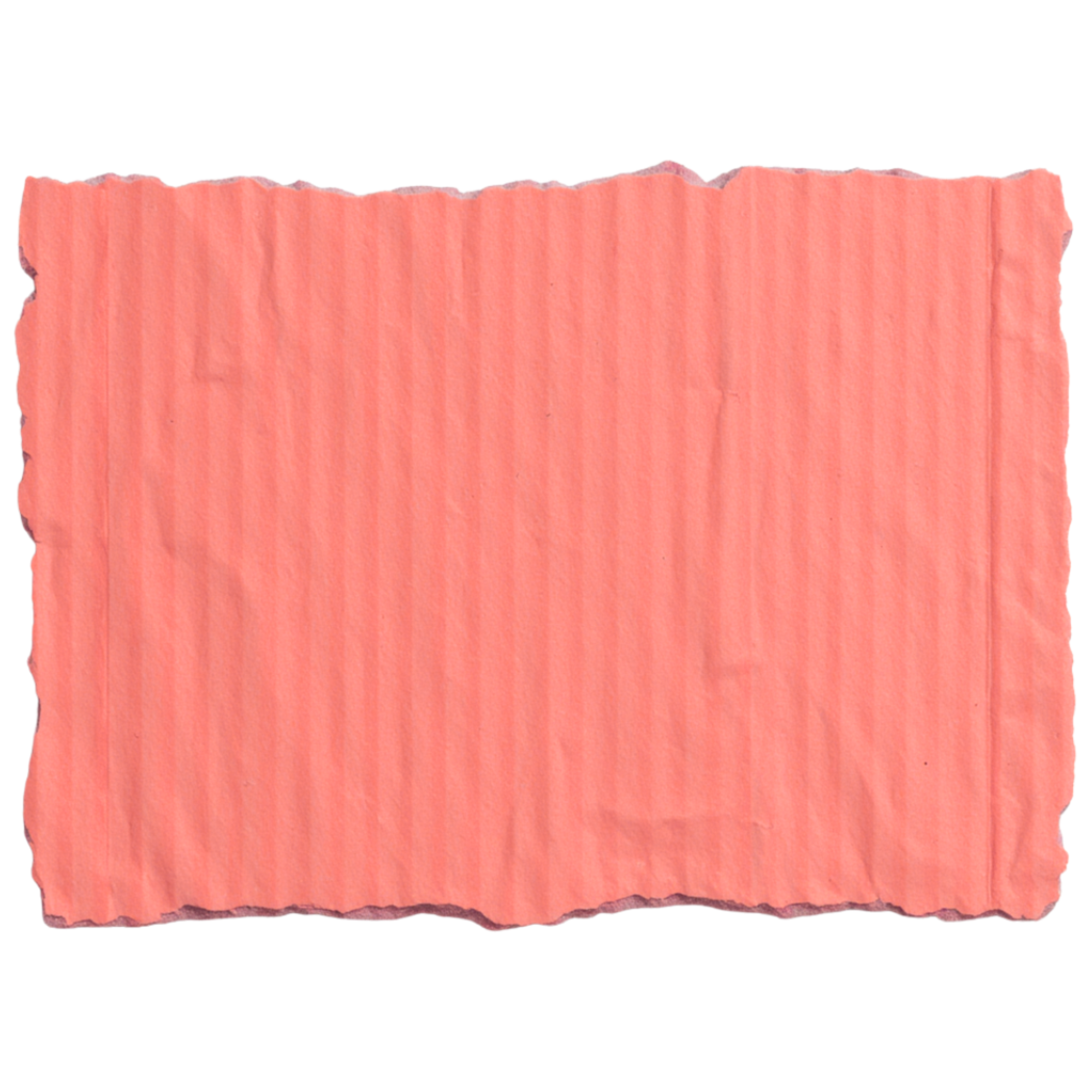 ripped coral paper decoration image