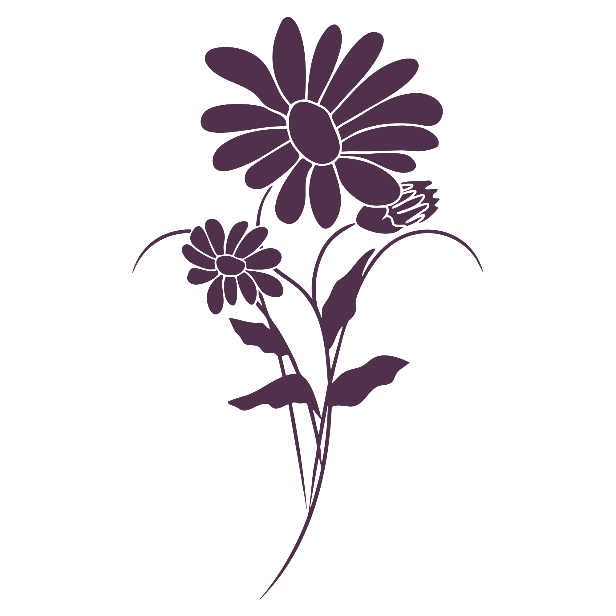 Daisy Brand Illustration Molly's Design Co