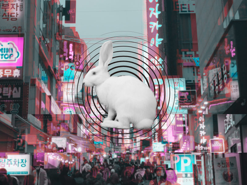 The Goshitel Diaries: Part 1