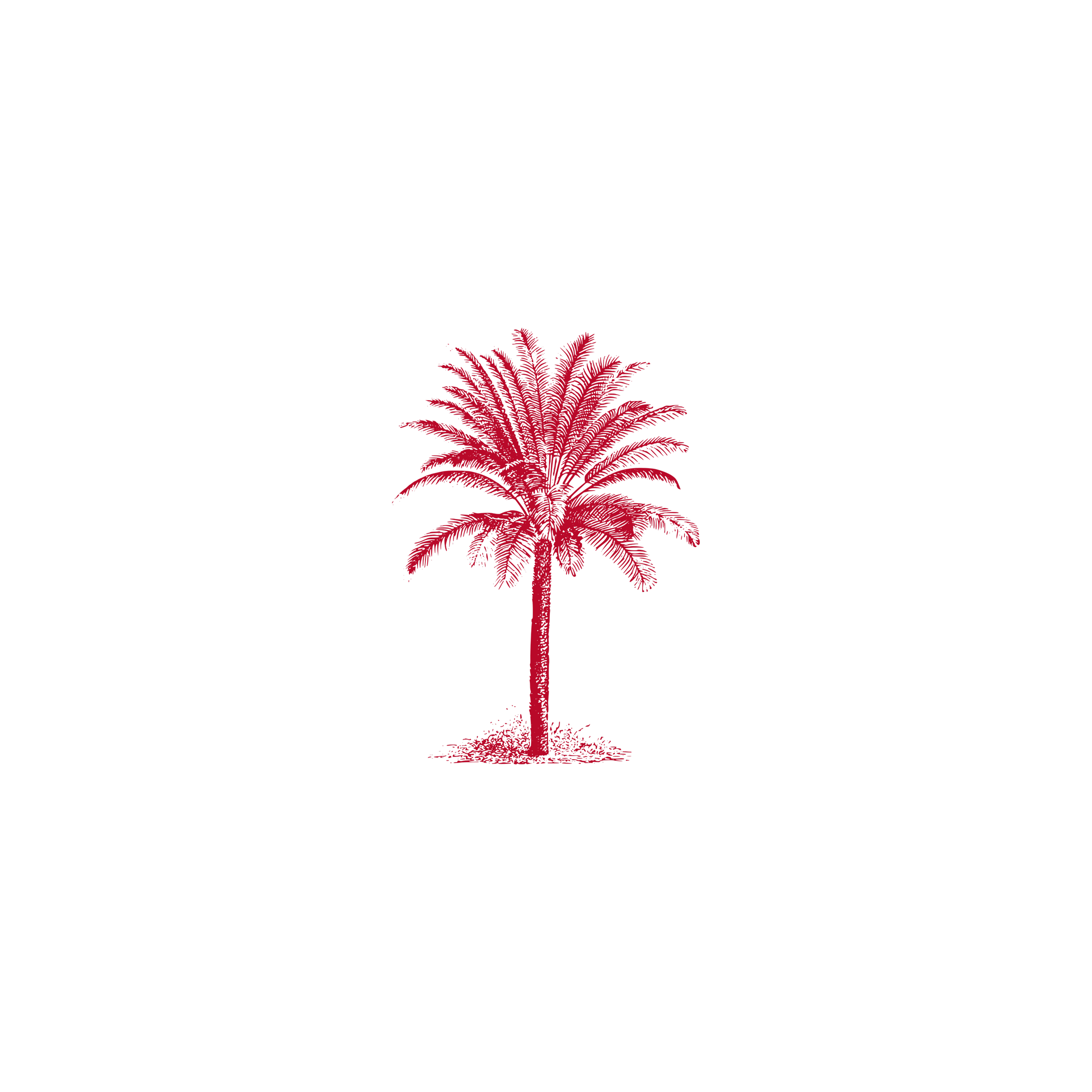 Red palm tree sketch icon