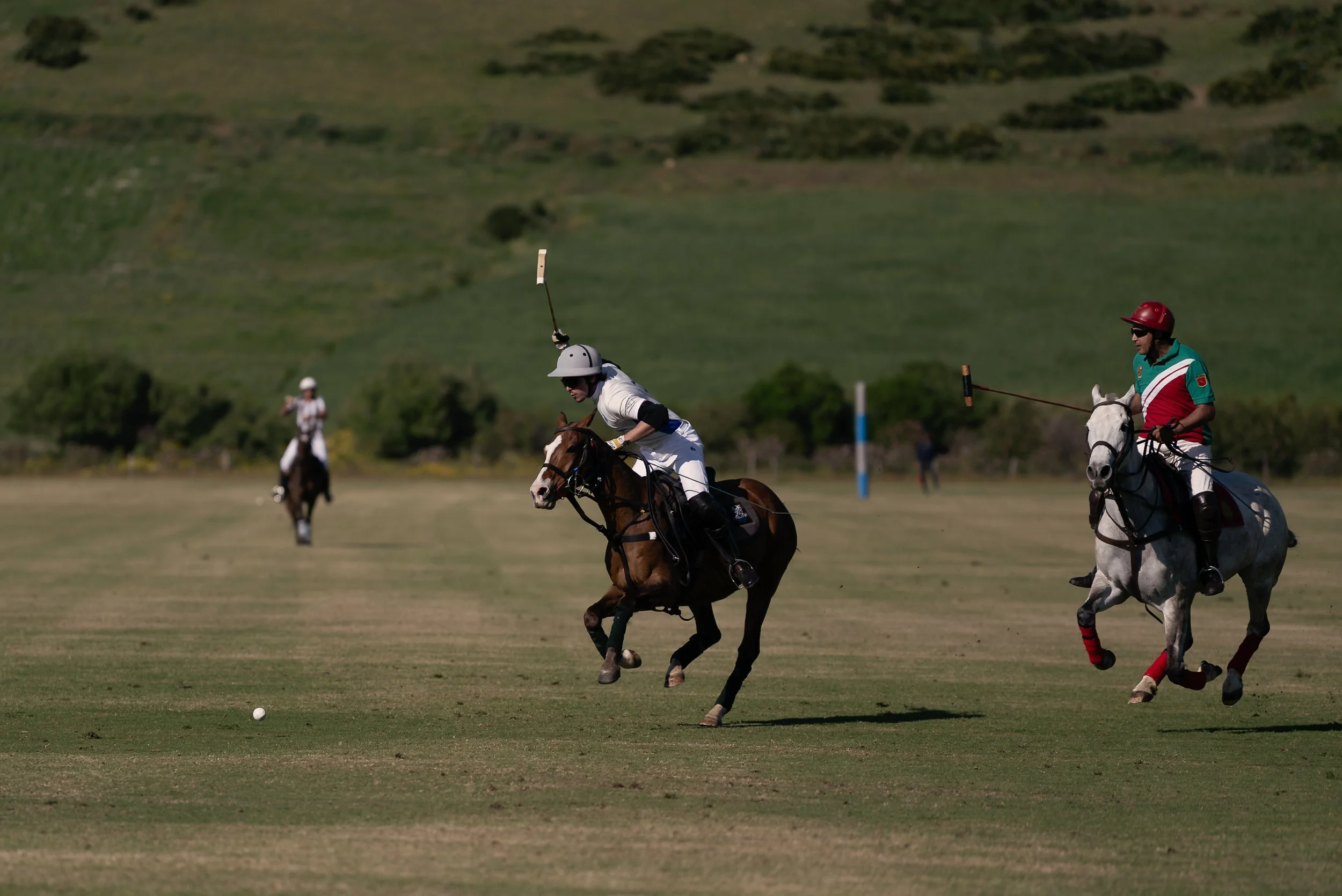 DSC_2895.jpg