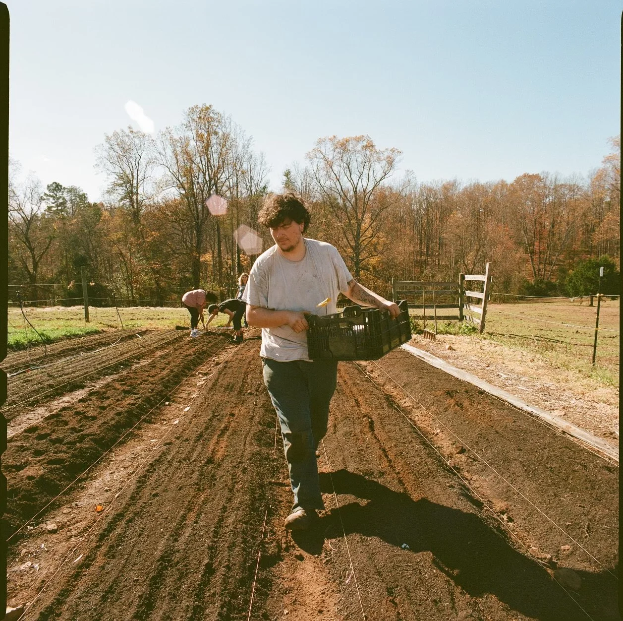 A young man with dark curly hair and a beard, wearing a dirty white t-shirt and gray pants, walking through a farm field on a sunny day while holding a black crate. In the background, other people are working in the field, with bare trees and a woode