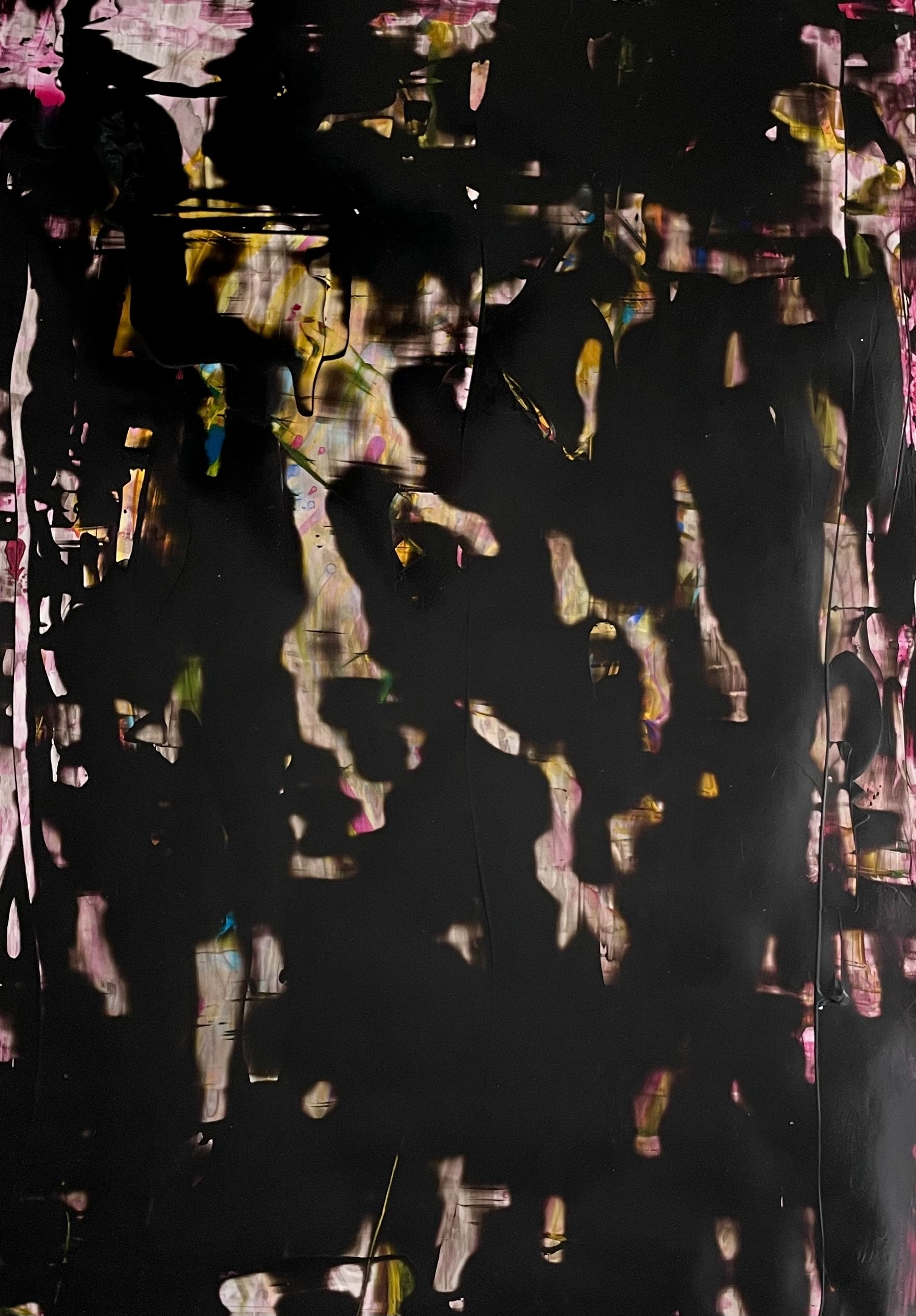 Black over Pink Field 18'5 x 25"Acrylic on YUPO