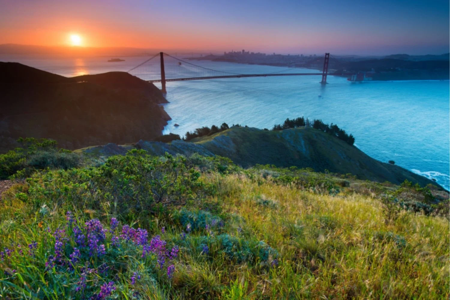 Sunset over the Golden Gate Bridge with lush greenery in the foreground and cityscape in the background.