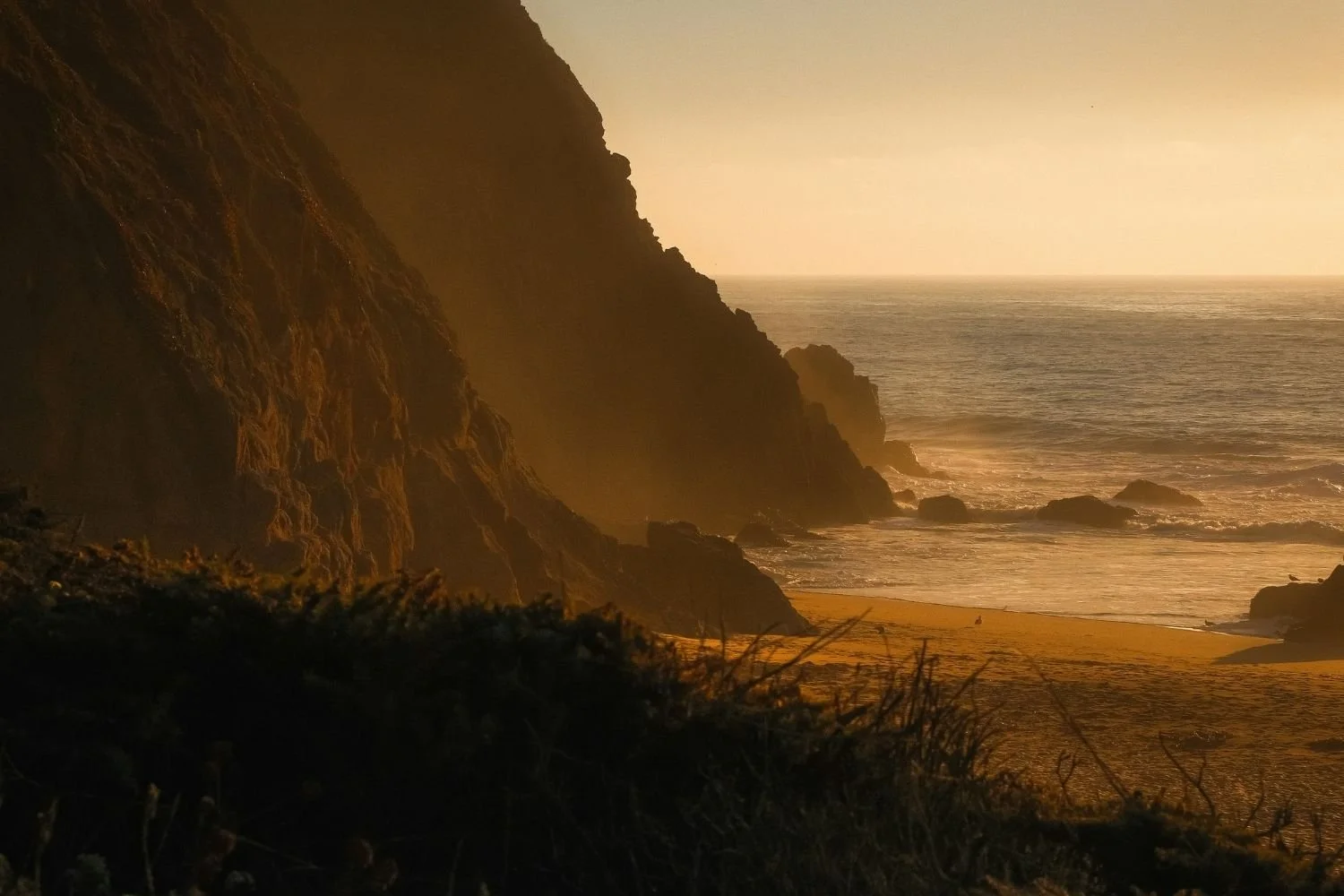 Sunset over a rocky beach with cliffs, ocean waves, and vegetation in the foreground.