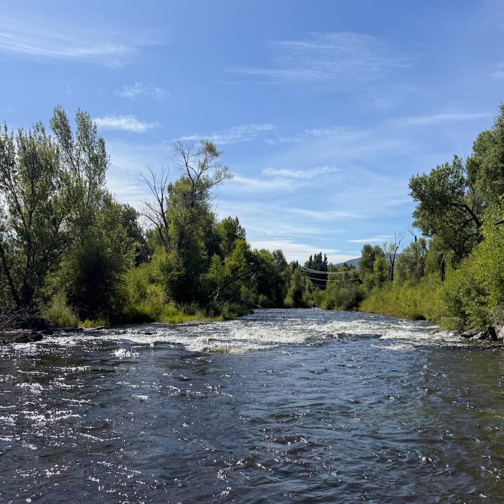 Sunday Brunch on the Provo