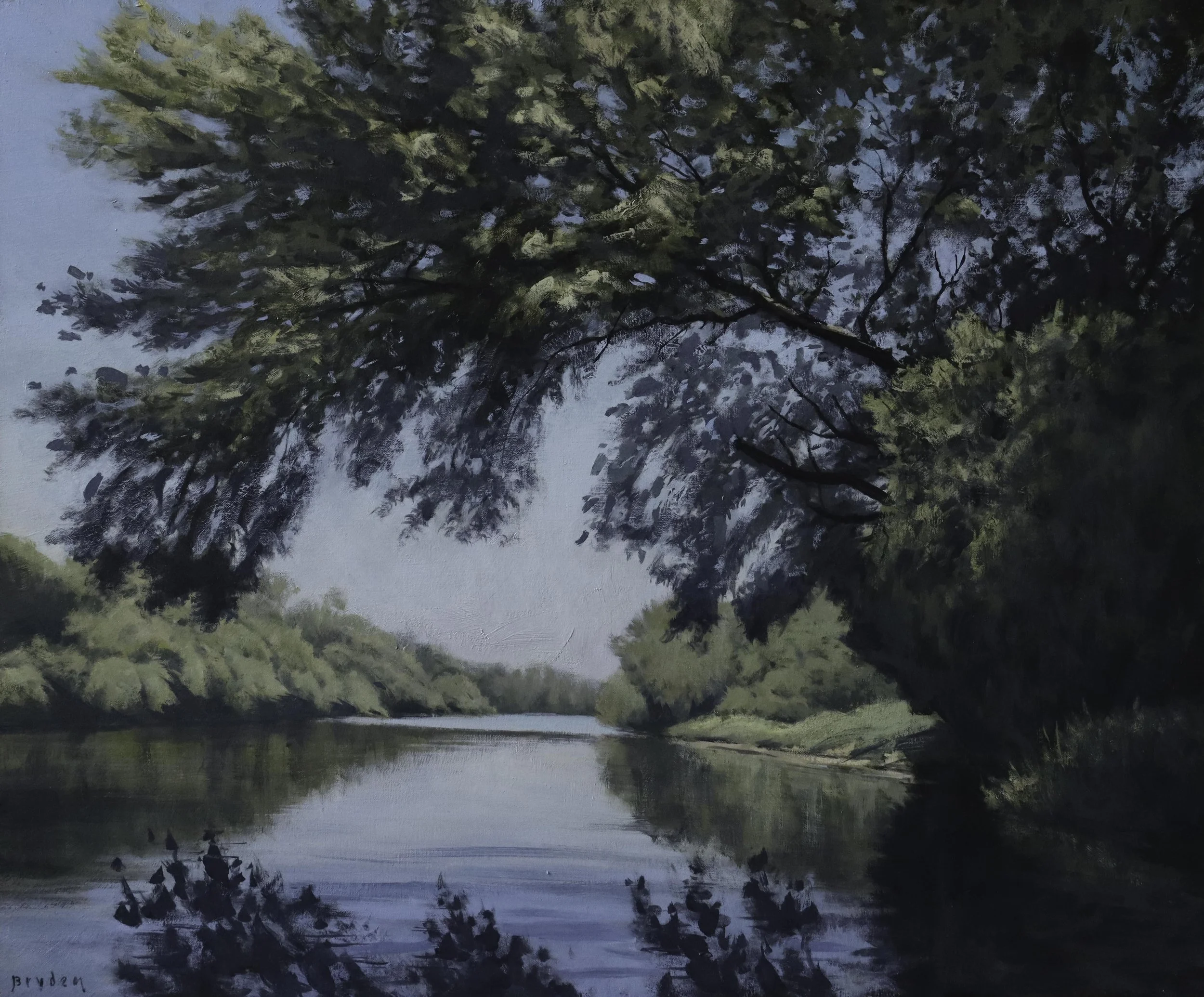 Emergimg From Shade 20x24.jpg