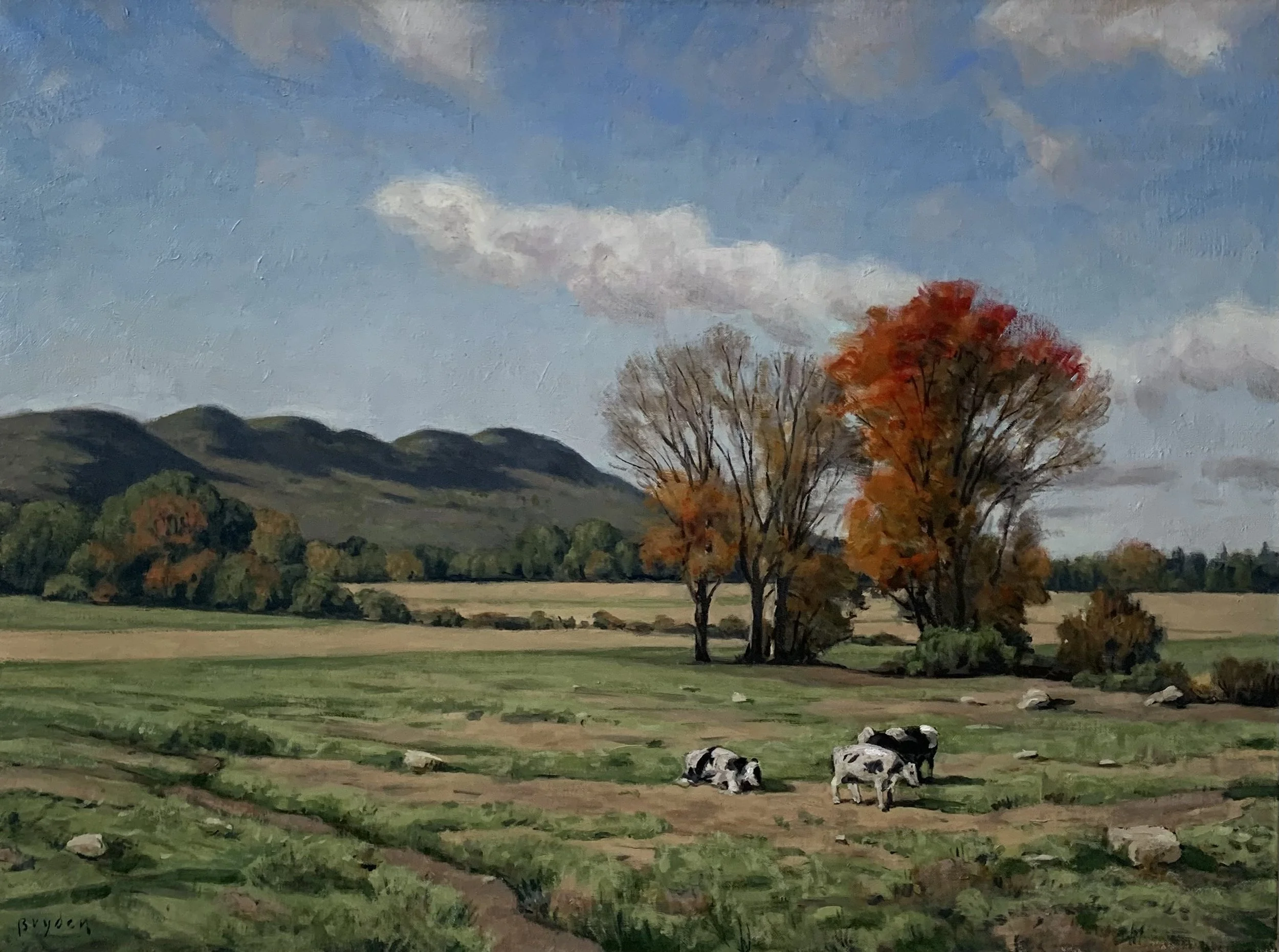 Cook Farm 18x24.jpg