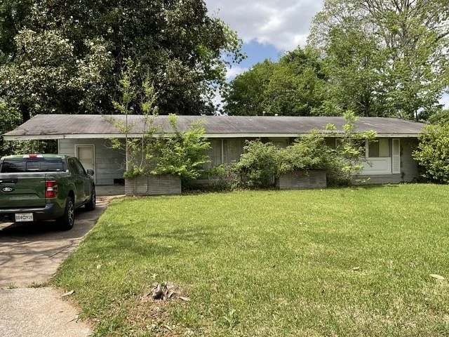 01.jpg