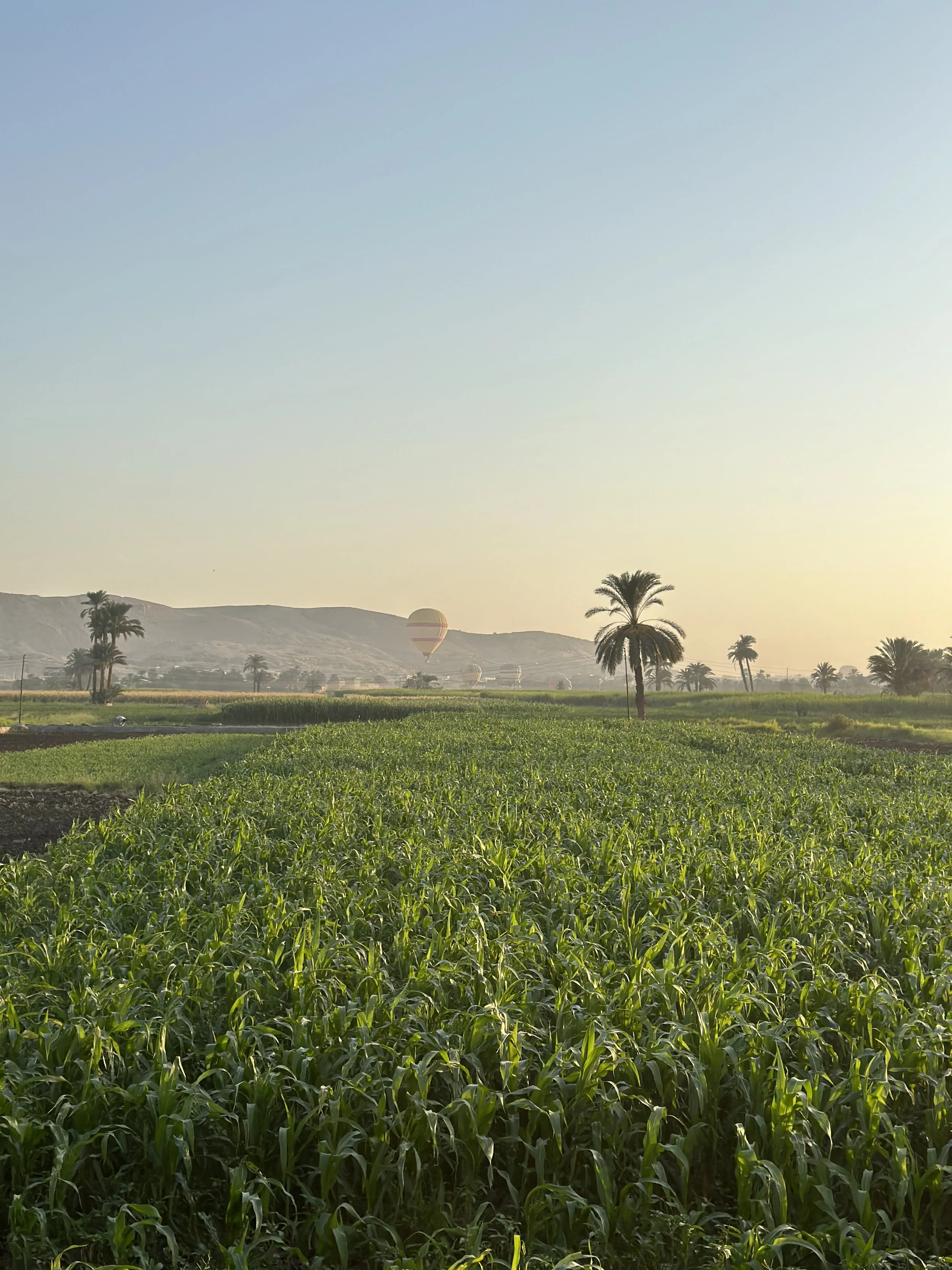 A group of people in white clothing gathered outdoors during sunset, sitting and standing on a patterned rug with cliffs in the background.