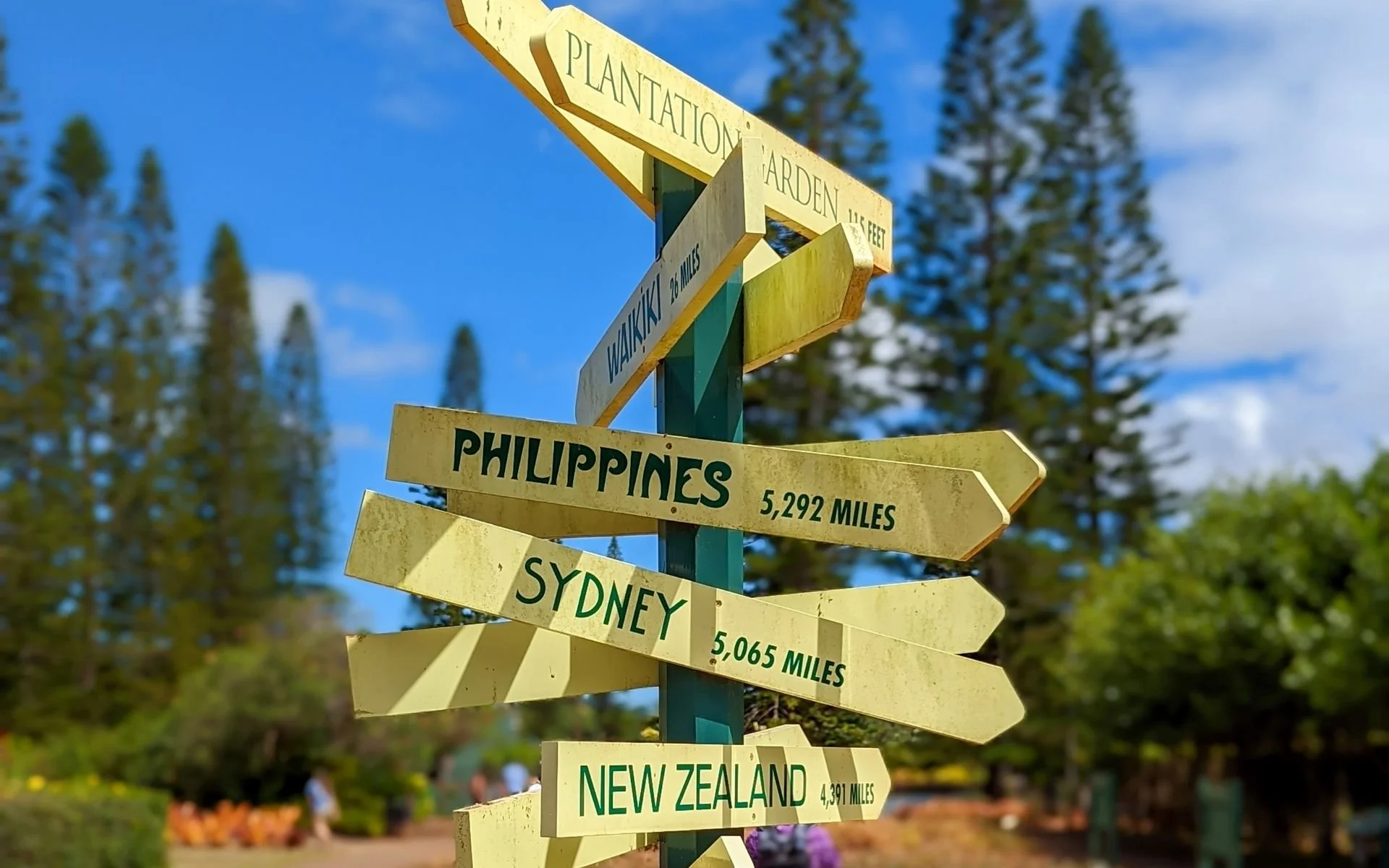 Cool signs within the Dole Pineapple Plantation Visiter's area
