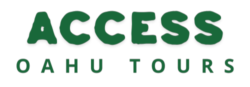 Access Oahu Tours