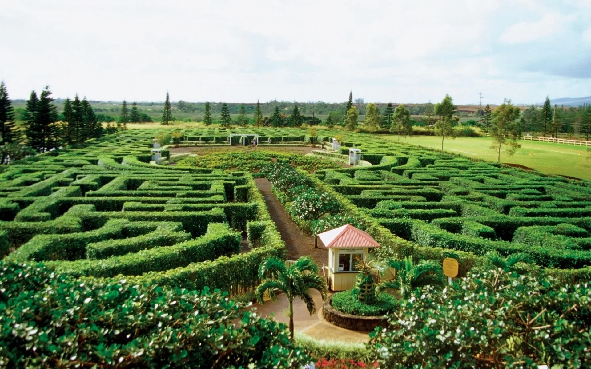 Ariel view of the maze at Dole Pineapple Plantation