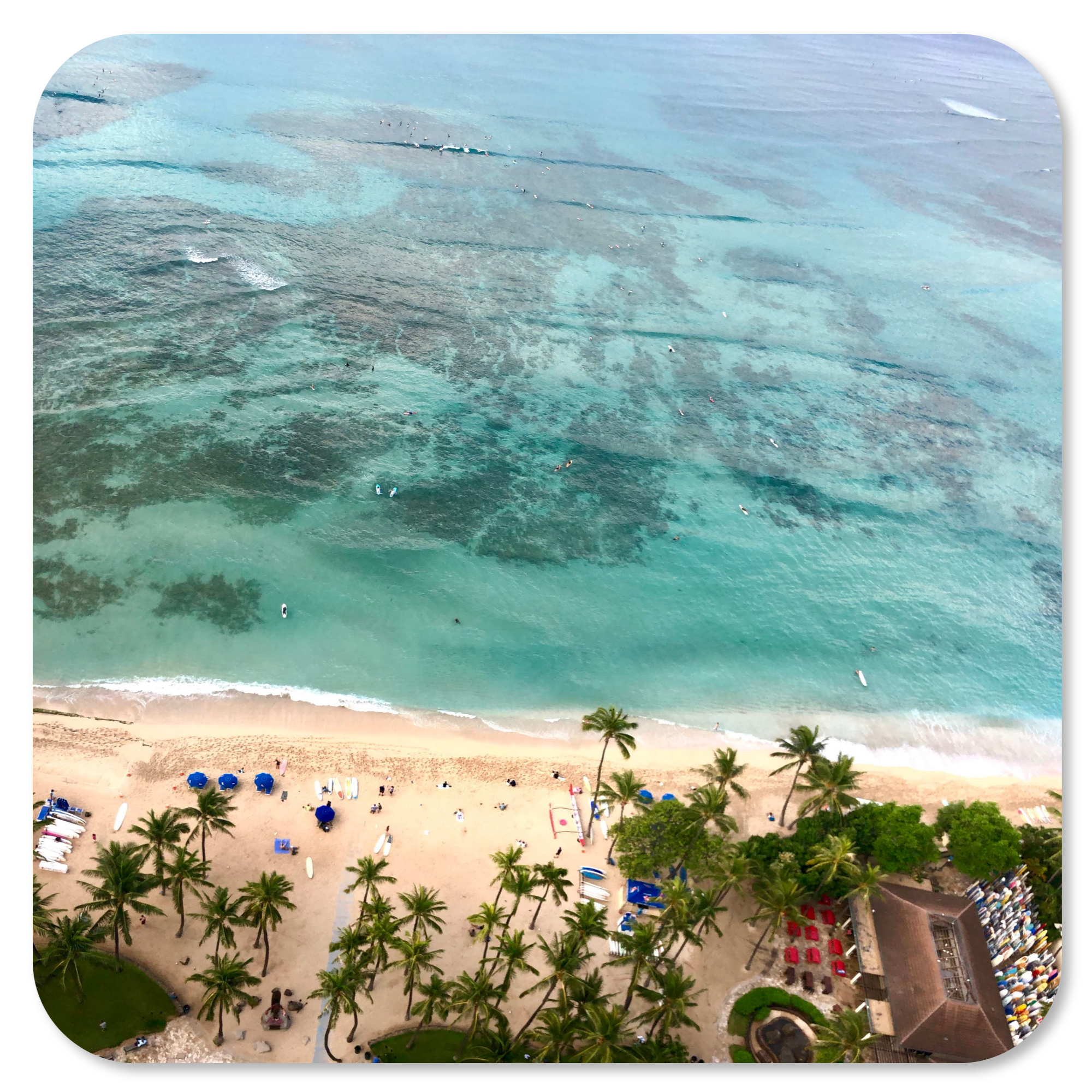 Aerial view of Waikiki Beach with palm trees and turquoise water, Oahu