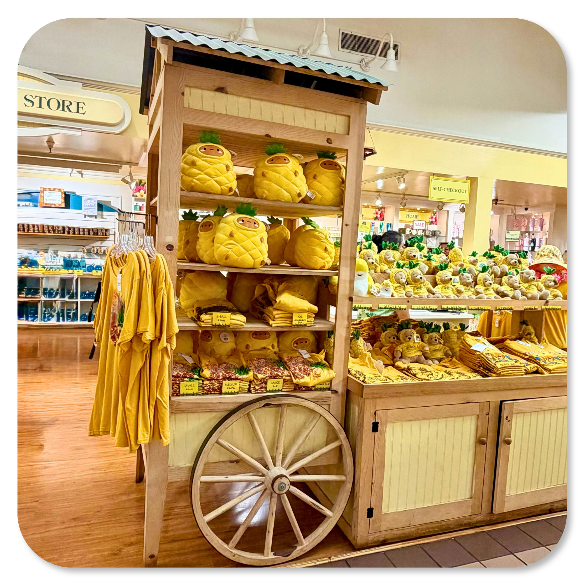 Dole Plantation gift shop