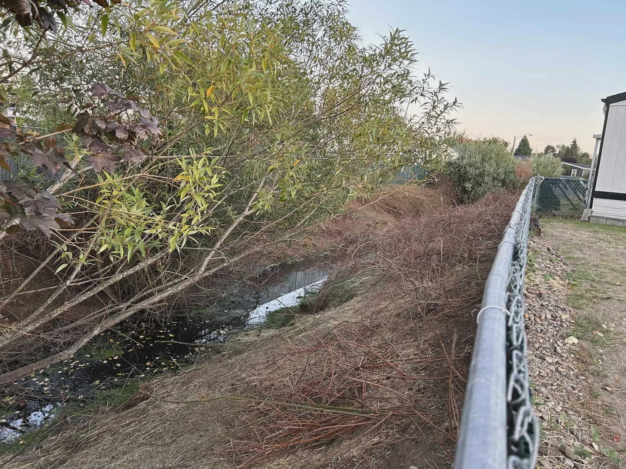 land after our goats do their jobs