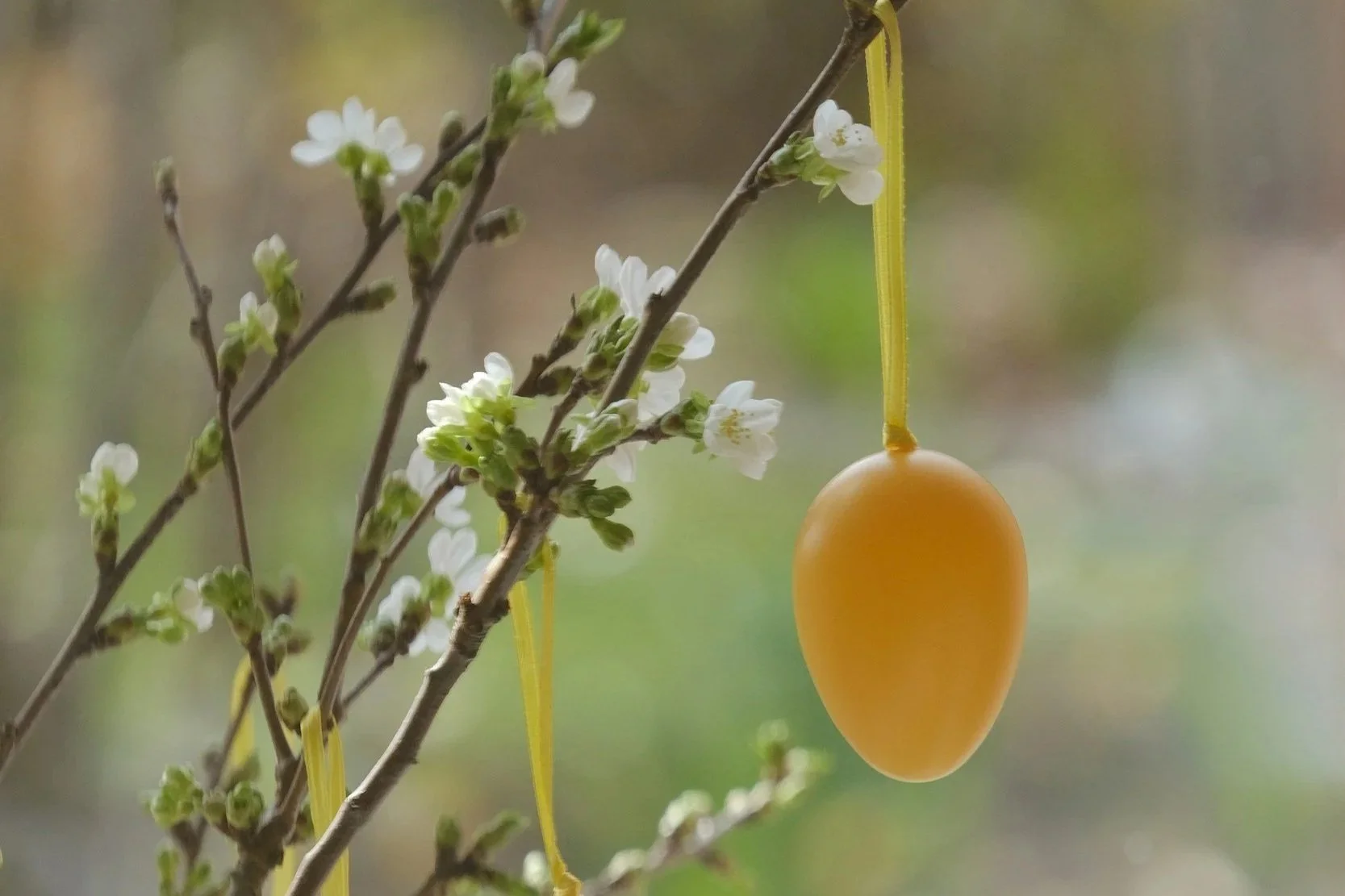 L'Oschterputz, Le grand ménage de Pâques — une tradition alsacienne à réveiller